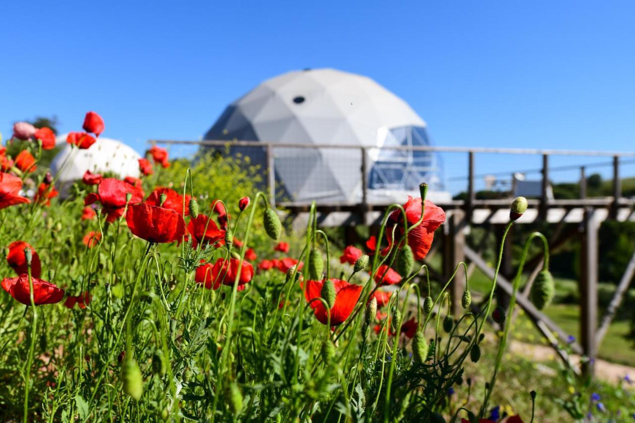 Reserva Alecrim EcoSuite&Glamping Santiago do Cacém Exteriér fotografie